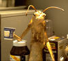 黑衣人 剧照 #07