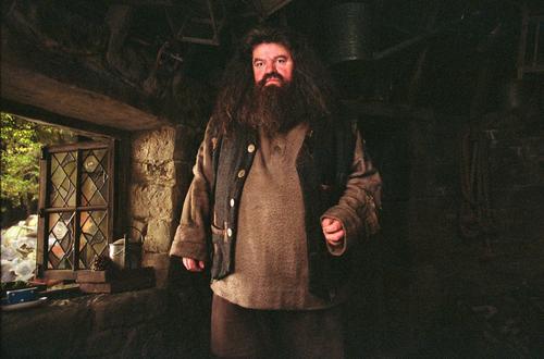 哈利·波特与阿兹卡班的囚徒/Harry Potter and the Prisoner of Azkaban(2004) 电影图片 剧照 #034 大图 1050X694