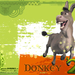 怪物史莱克2/Shrek 2(2004)