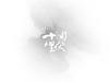 十面埋伏 桌面 #21