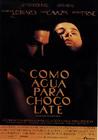情迷巧克力/Como agua para chocolate