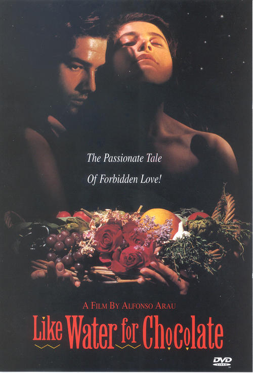 情迷巧克力Como agua para chocolate(1992)DVD封套 #03
