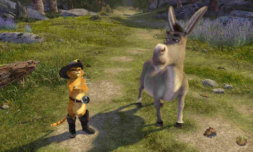 怪物史莱克2/Shrek 2(2004) 电影图片 剧照 #02 大图 800X482