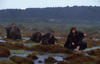 魔戒首部曲：魔戒现身/The Lord of the Rings: The Fellowship of the Ring