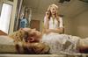杀死比尔Ⅰ/Kill Bill Vol. I(2003) 电影图片 剧照 #41 省略图