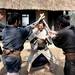 座头市The Blind Swordsman: Zatoichi(2003)