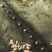 DVD封套 #02 省略图