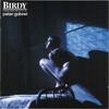 鸟人/Birdy(1984) 电影图片 原声碟封套 #1A 省略图