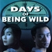 阿飞正传Days of Being Wild(1991)