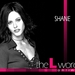 拉字至上/The L Word(2004)
