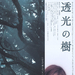 透光的树 海报 #01