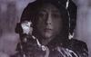Dédales 剧照 #02