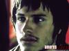 爱情是狗娘/Amores perros