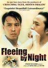 夜奔/Fleeing by Night