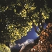 故乡之春Spring in My Hometown(1998)