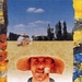 凡高与提奥Vincent & Theo(1990)
