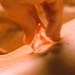 晚娘/Jan Dara(2001)