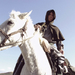 七剑The Seven Swords(2005)