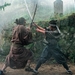 隐剑鬼爪The Hidden Blade(2004)