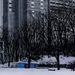 东京教父Tokyo Godfathers(2003)