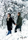 冬日恋歌/Winter Sonata(2002)