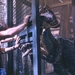 侏罗纪公园3Jurassic Park 3(2001)