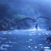 侏罗纪公园3Jurassic Park 3(2001)