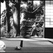 大菩萨岭Dai-bosatsu tôge(1966)