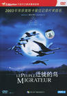 迁徙的鸟 DVD封套(中国)