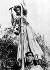 非洲女王号/The African Queen