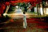 恋恋三季/Three Seasons(1999)