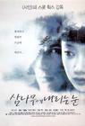 落在香杉树的雪花 海报(韩国)