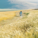风会带着我们走Bad ma ra khahad bord(1999)