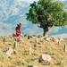 风会带着我们走Bad ma ra khahad bord(1999)