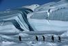 帝企鹅日记/March of the Penguins