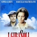 DVD封套 #01 省略图