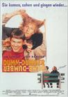 阿呆与阿瓜/Dumb and Dumber