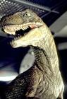 侏罗纪公园/Jurassic Park