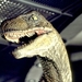 侏罗纪公园Jurassic Park(1993)