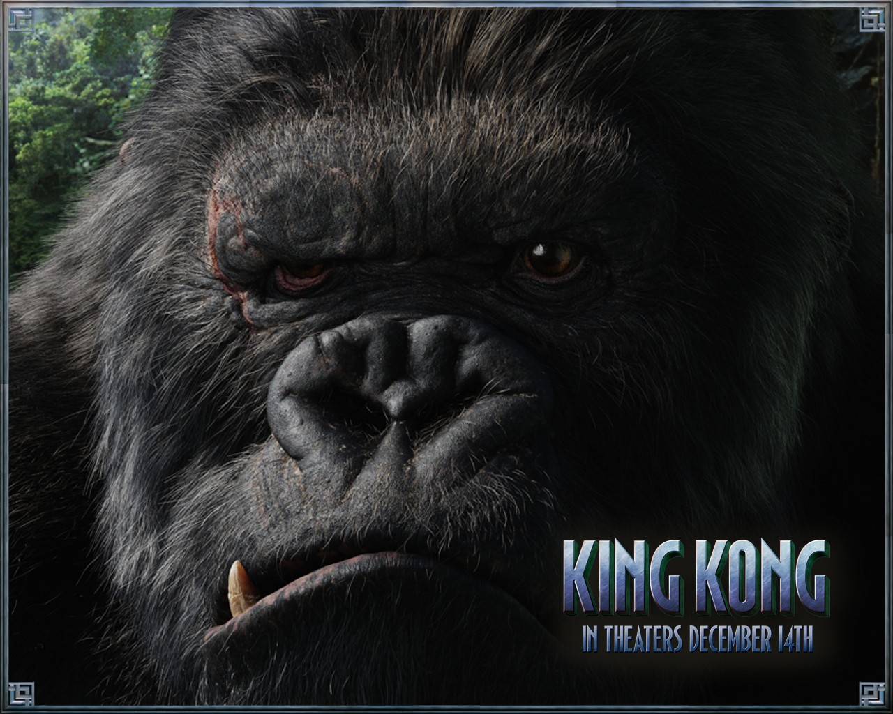 金刚/King Kong(2005) 电影图片 桌面 #12B 大图 1280X1024