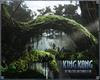 金刚/King Kong(2005) 电影图片 桌面 #14B 省略图