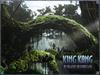 金刚/King Kong(2005) 电影图片 桌面 #14A 省略图