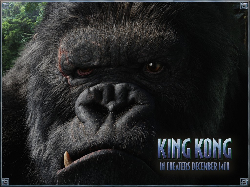 金刚/King Kong(2005) 电影图片 桌面 #12A 大图 1024X768