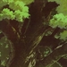 剧照 #18