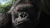 金刚/King Kong(2005) 电影图片 剧照 #09 省略图
