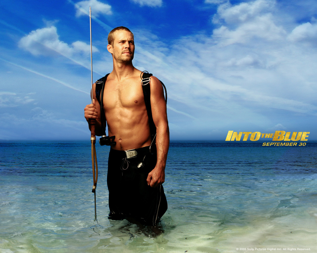 碧海追踪/Into the Blue(2005) 电影图片 桌面 #05B 大图 1280X1024