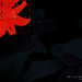 深红 桌面 #01C