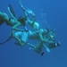 碧海追踪/Into the Blue(2005)