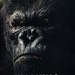 金刚/King Kong(2005)