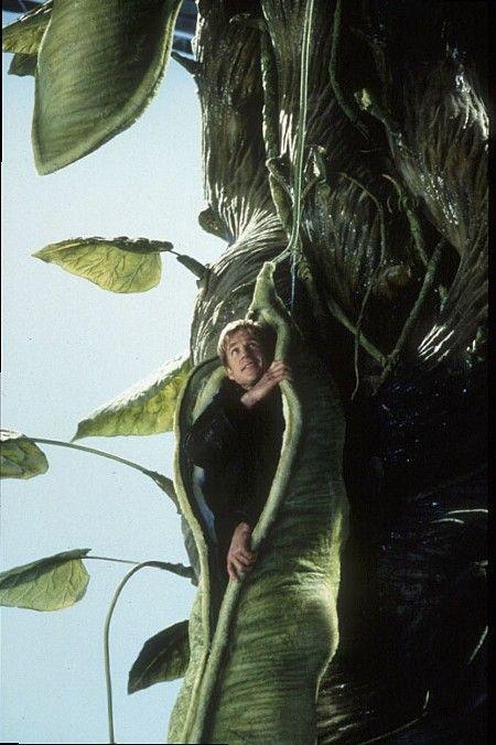 杰克与仙豆Jack and the Beanstalk: The Real Story(2001)剧照 #01